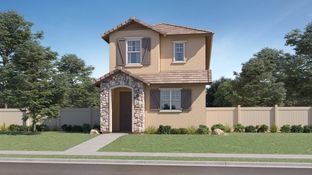 Lucia Plan 2019 - Asante Artisan - Reflection: Surprise, Arizona - Lennar
