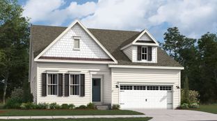 Dover Basement - Plantation Lakes - South Shore Signature: Millsboro, Delaware - Lennar