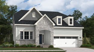 Canton Basement - Plantation Lakes - South Shore Signature: Millsboro, Delaware - Lennar