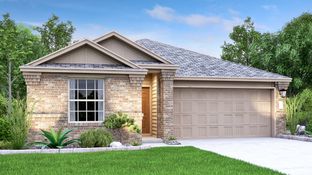 Avery - Cotton Brook - Claremont Collection: Hutto, Texas - Lennar