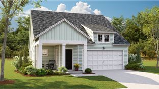 PALMETTO - Heron's Walk at Summers Corner - Carolina Collection: Summerville, South Carolina - Lennar