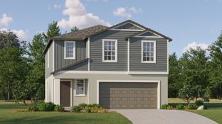 Atlanta - Angeline - The Manors: Land O' Lakes, Florida - Lennar