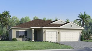 Driftwood - Juliette Falls: Dunnellon, Florida - Lennar