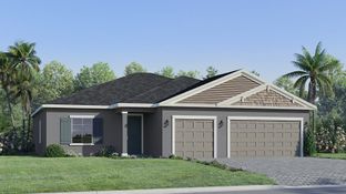 Driftwood - Juliette Falls: Dunnellon, Florida - Lennar