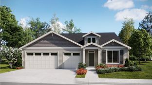 Camden - South River Terrace - The Willamette Collection: Tigard, Oregon - Lennar