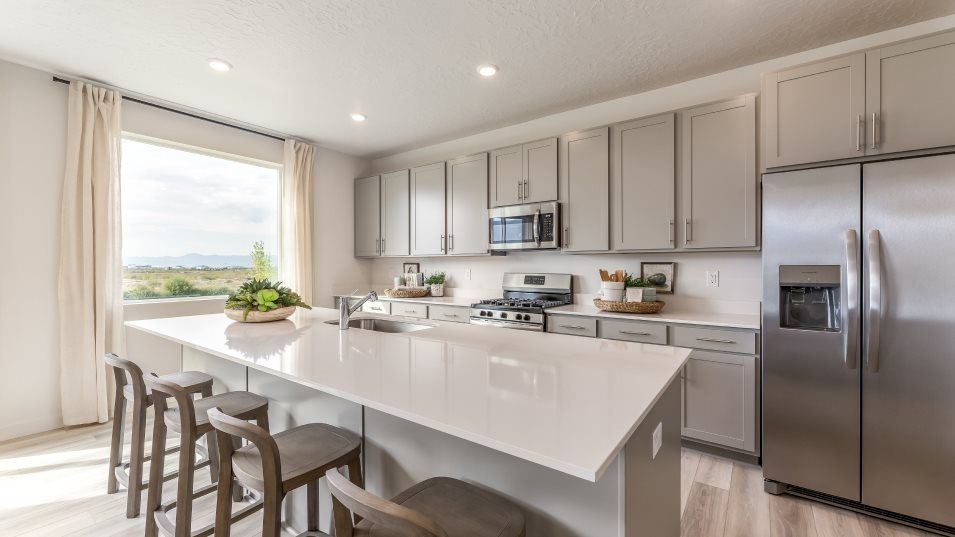 1823 W Blue Flax Drive (Mesa)