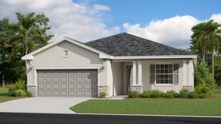 Venice - Ibis Landing Golf & Country Club - Executive Homes: Lehigh Acres, Florida - Lennar
