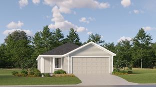 Pinehollow - Cotton Gateway - Cottage Collection: Maxwell, Texas - Lennar