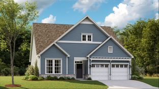 Newport Basement - Acadia Landing: Lewes, Delaware - Lennar