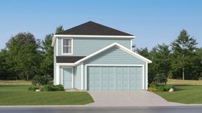 11549 Cinnamon Rose (Mayer)