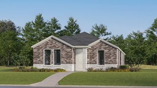 Camila - Meadowlark Preserve - Lonestar Collection: Pflugerville, Texas - Lennar