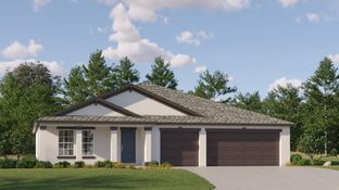 Lincoln - Balm Grove - The Executives East: Wimauma, Florida - Lennar