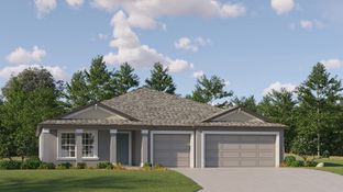 Phoenix - Balm Grove - The Executives East: Wimauma, Florida - Lennar
