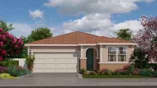 RESIDENCE 1596 - Cascade II at Vineyard Parke: Sacramento, California - Lennar