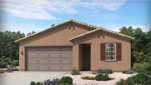 Mesquite - Mountain View at Rocking K - Loma Verde: Vail, Arizona - Lennar