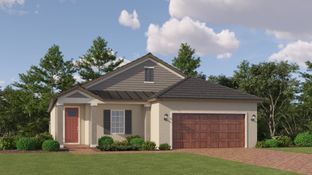 Splendor II - Angeline Active Adult - Active Adult Manors: Land O' Lakes, Florida - Lennar