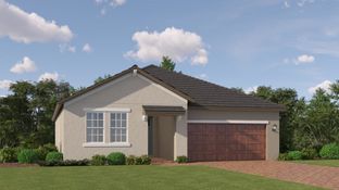 Sunburst II - Angeline Active Adult - Active Adult Manors: Land O' Lakes, Florida - Lennar
