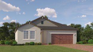 Sunburst II - Angeline Active Adult - Active Adult Manors: Land O' Lakes, Florida - Lennar