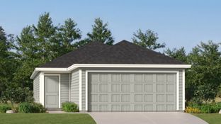 Hoffman - Spring Grove - Belmar Collection: Saint Hedwig, Texas - Lennar