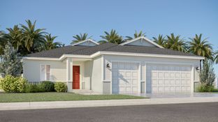 Paris - The Timbers at Everlands - The Grand Collection: Palm Bay, Florida - Lennar