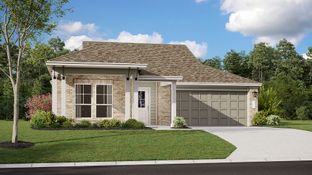 Marquette - Plum Creek North - Highlands Collection: Kyle, Texas - Lennar
