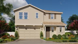Residence 2419 - Northlake - Lakelet: Sacramento, California - Lennar