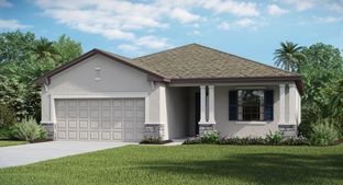 Venice - Portico - Executive homes: Fort Myers, Florida - Lennar