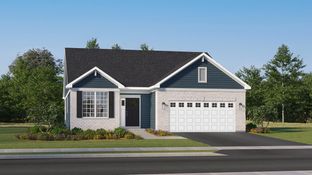 Napa - Keller Farm - Andare Series: Plainfield, Illinois - Lennar