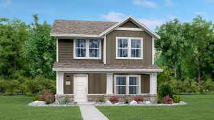 Deerbrook - Plum Creek North - Stonehill Collection: Kyle, Texas - Lennar