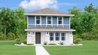 Rosedale - Plum Creek North - Stonehill Collection: Kyle, Texas - Lennar