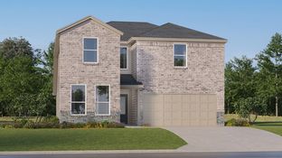 Napali - Guadalupe Heights - Coastline Collection: Seguin, Texas - Lennar