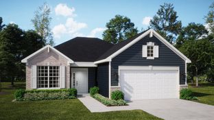 Napa - Kingston Ridge - Andare Series: Lowell, Indiana - Lennar
