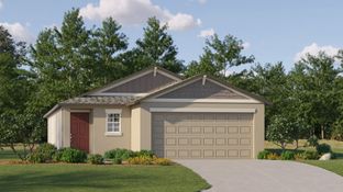 Annapolis - Twinflowers - The Manors: Wesley Chapel, Florida - Lennar