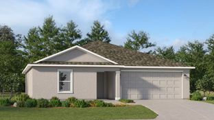 Aura - Maplewood Park - Executive Homes: Lehigh Acres, Florida - Lennar