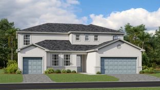 Washingtonia - Tuckers Cove - Manor Homes: Punta Gorda, Florida - Lennar