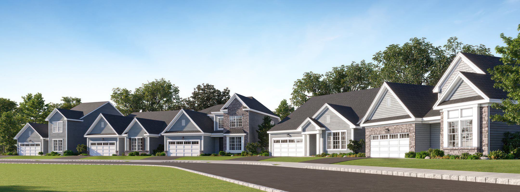 Venue at Monroe Single Family Homes streetscape