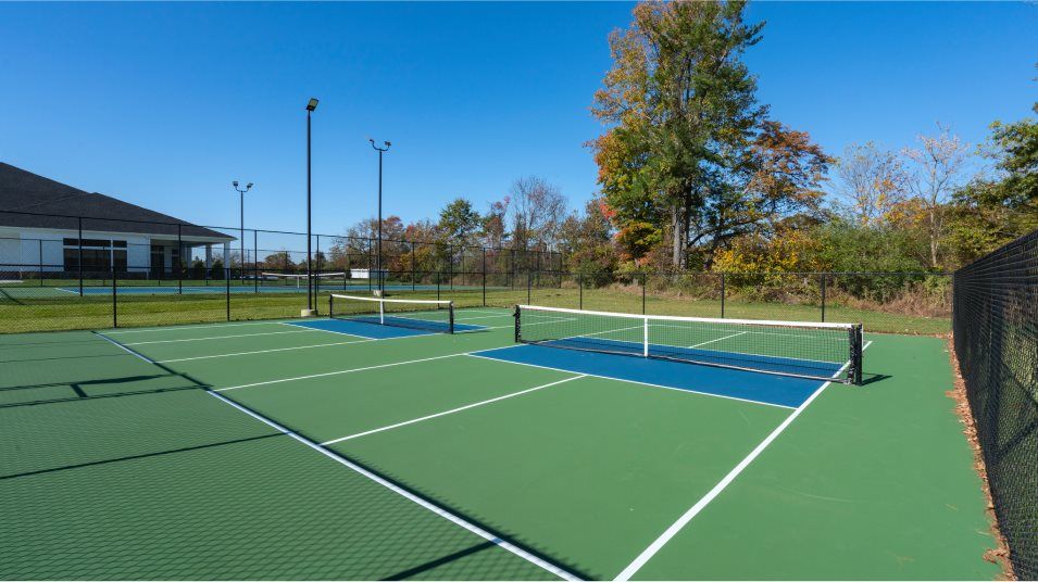 Pickleball court