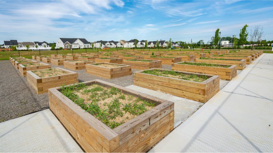 Venue at Monroe community garden