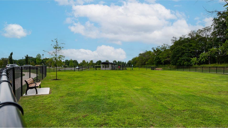 Venue at Monroe dog park