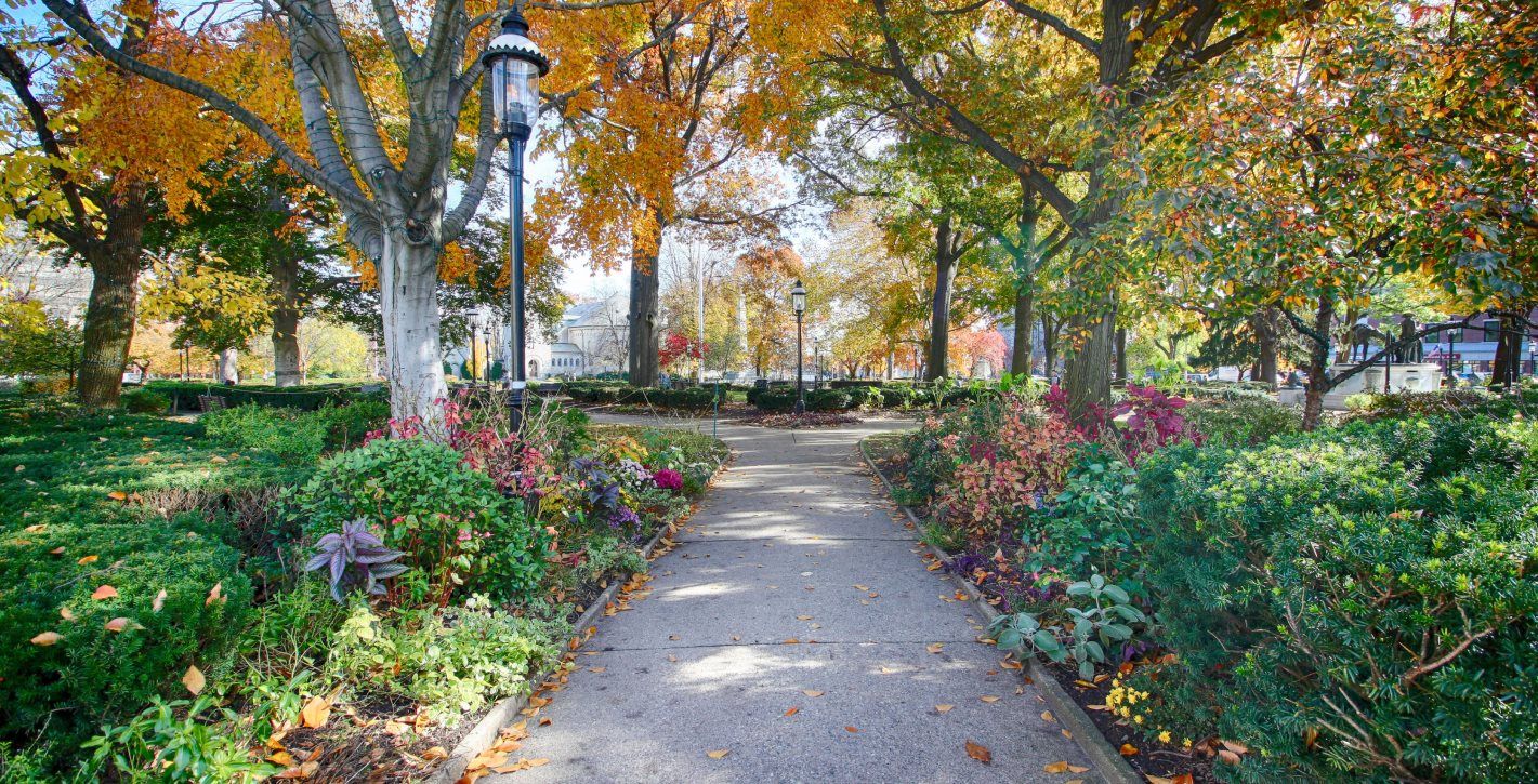 Morristown Green