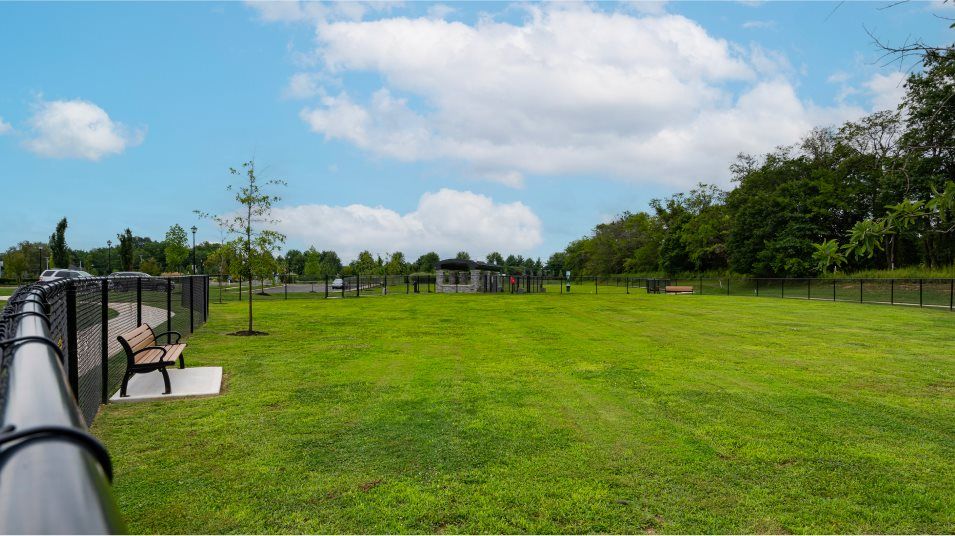 Dog park