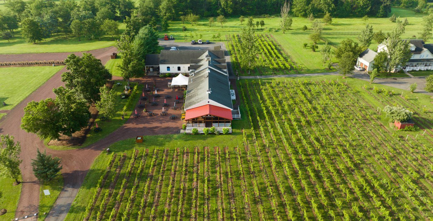 Hopewell Valley wine Vineyards