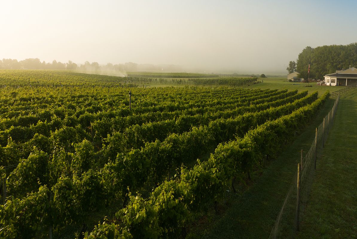 Hightstown Working Dog Winery Aerial 4of4