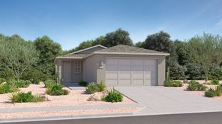 Abbey - Springwood at Gladden Farms - Americana Collection: Marana, Arizona - Lennar