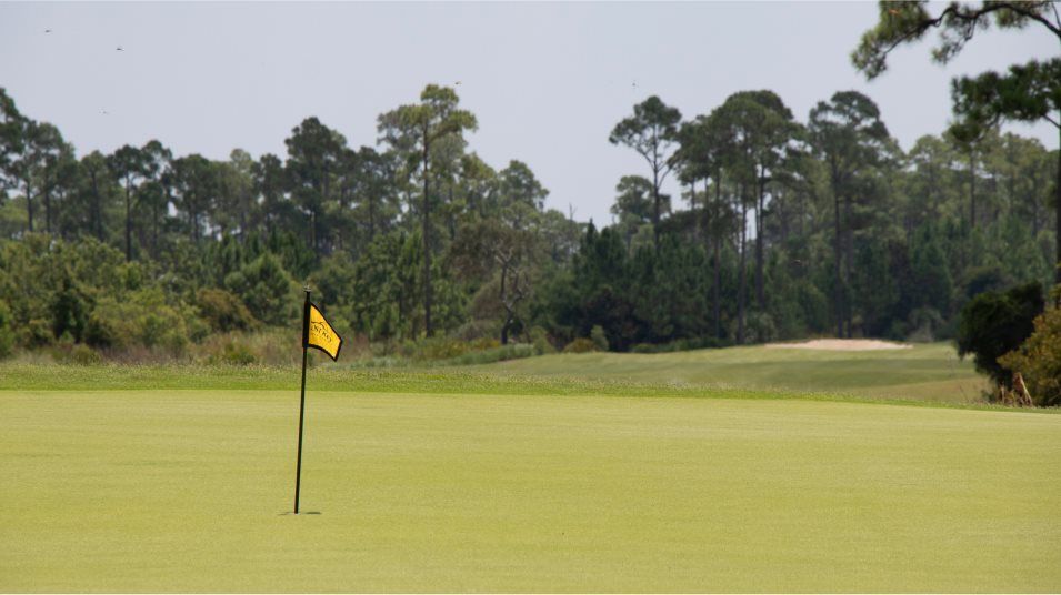 Golf course