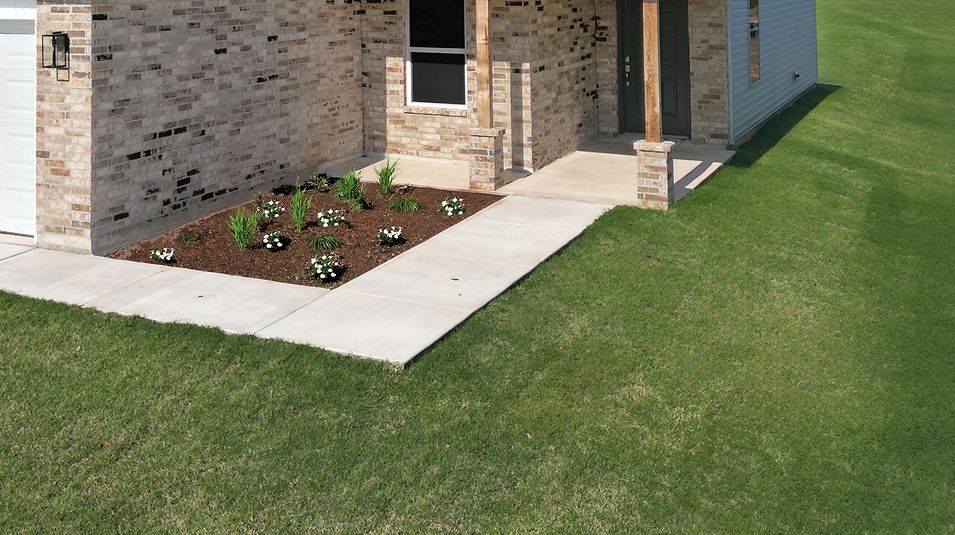 Divisional EI Full Sod 8 20 25