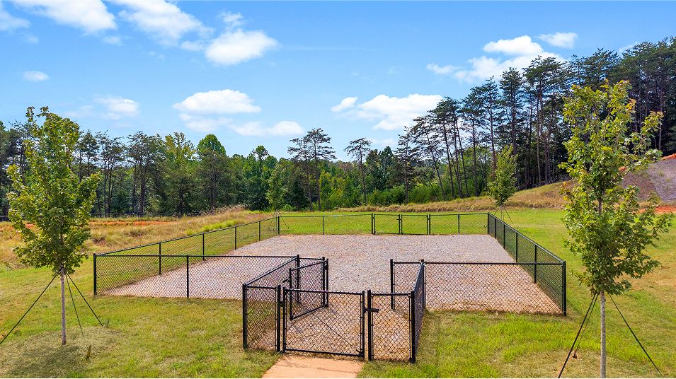 Spring Park Amenity Dog Park 090925