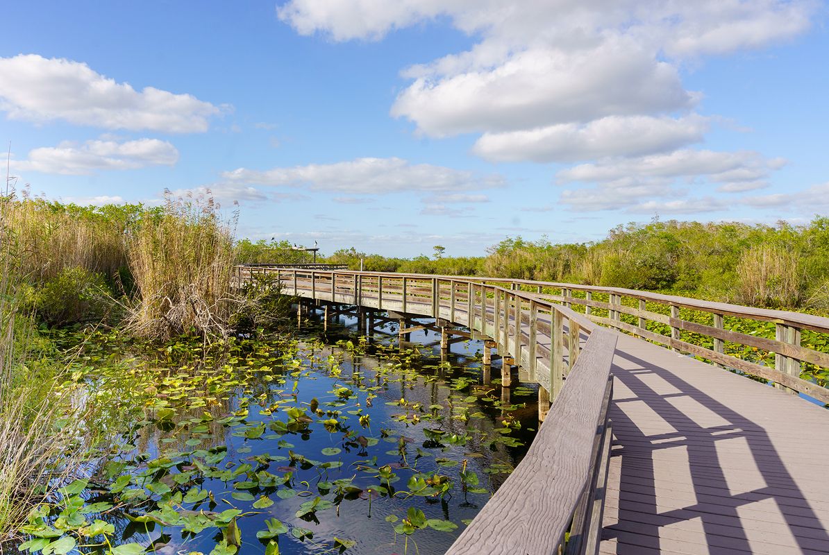 Miami Everglades National Park 061725
