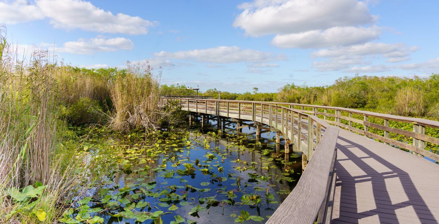 Everglades National Park