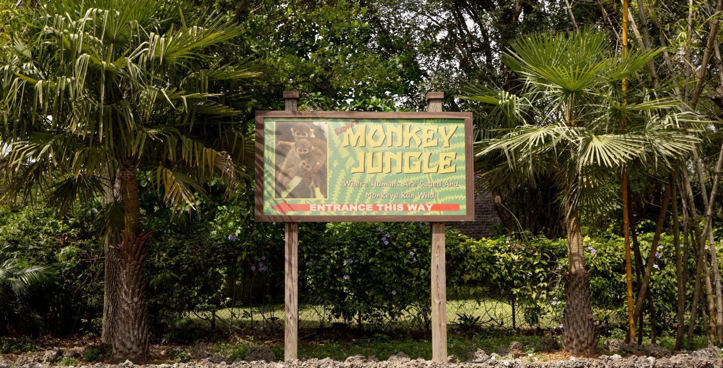 Monkey Jungle entry sign